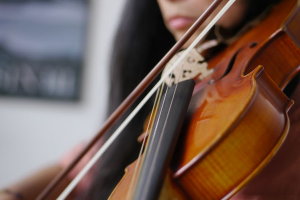 violin8
